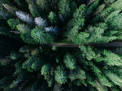 The Dune Sustainability Fund